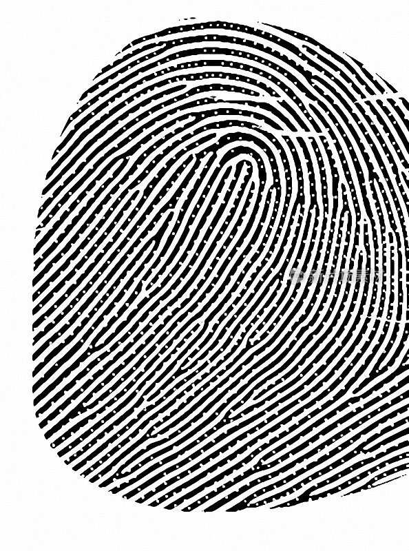 Fingerprint texture 5